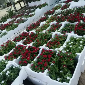 0659 التميز ساندوتش بانل ترميمات عامة | تنسيق حدائق